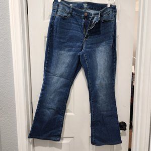 ANA 16W Bootcut Jeans